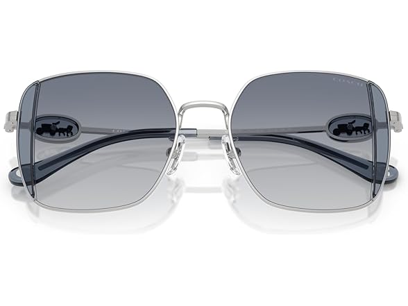 COACH Women's Sunglasses HC 7177 B