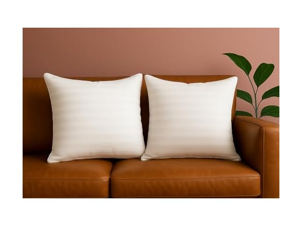 Trendy Home 18x18 Throw Pillow Insert, Set of 2