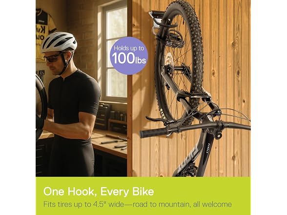 Delta Wall Dock Bike Rack Wall Mount with Tire Wall Guard Cycle