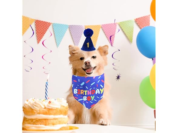 Dog Birthday Bandana Scarf, Boy Dogs Birthda