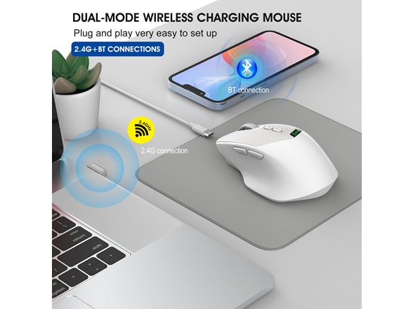 3P Experts Dual-Mode Wireless Mouse