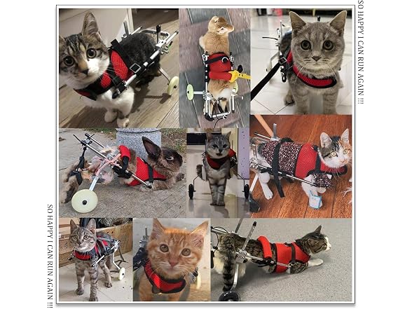 Cat Wheelchair, Newly Upgraded Pet Wheelchair