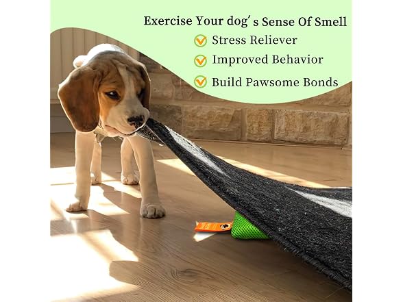 BabieDtOyG Dog Scent Training kit