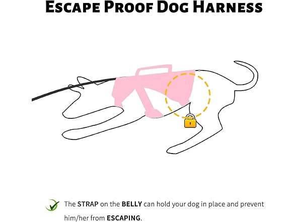 No Escape Dog Harness, Escape Proof Harness,