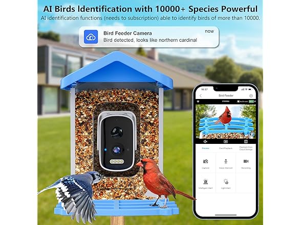 Niuberber Blue Smart Bird Feeder with Camera