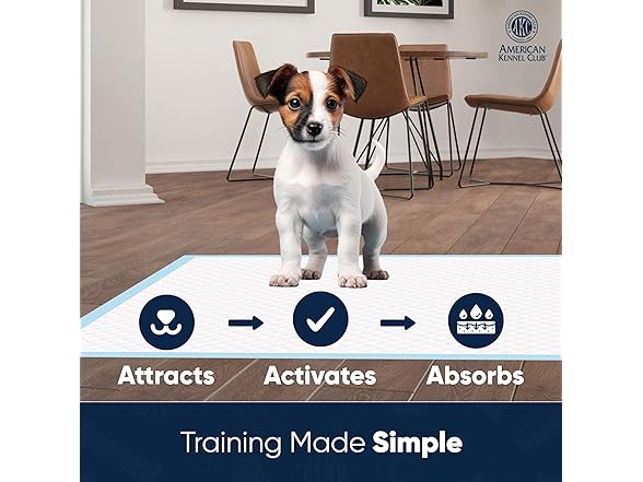 American Kennel Club Scented Puppy Training Pad