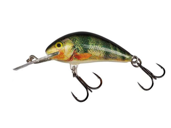 SALMO QRH498 Rattlin Hornet 055 Supernatural Perch
