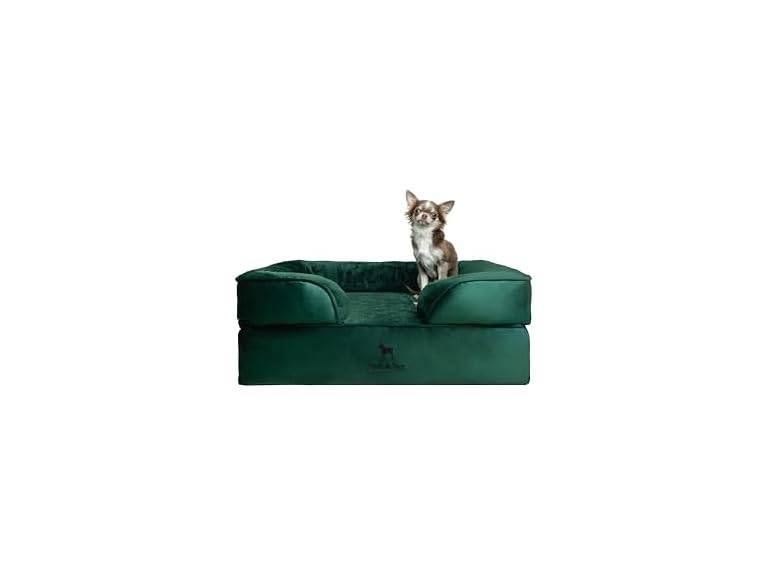NOAH & PAW SO-VE-DGR-M M NOAH & PAW Dog Bed - Sofa Da