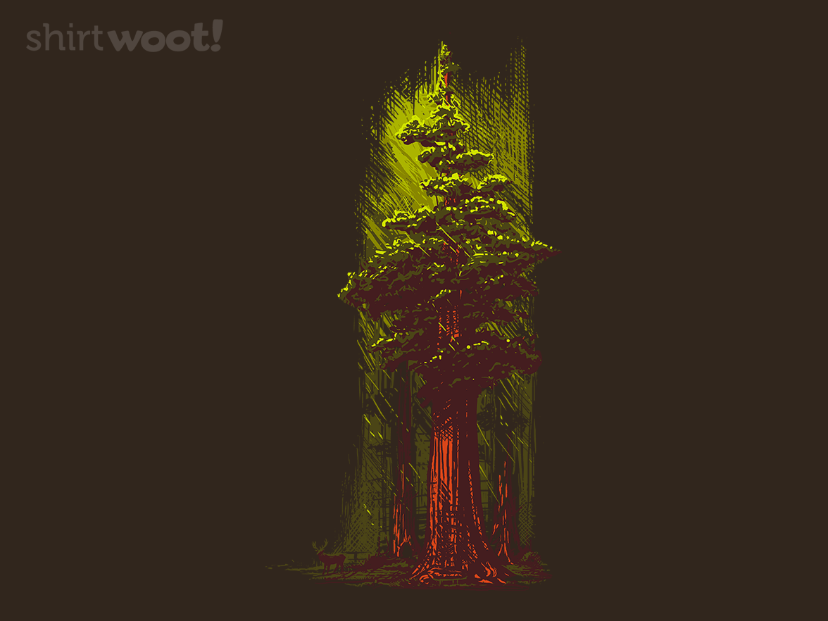 Giant Sequoia - Gallery 4