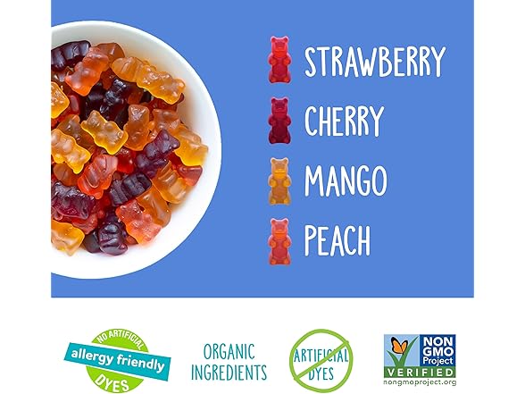 15PK YumEarth Organic Gummy Bears - Fruity