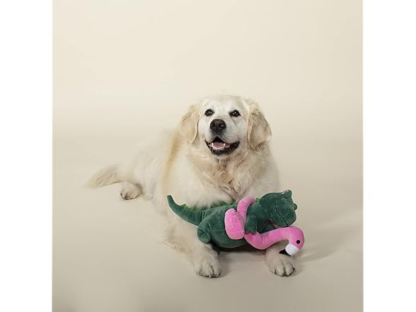 Fringe Studio Squeaker Pet Toy, T-Rex