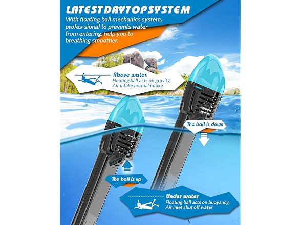 QingSong Full Face Snorkel Mask