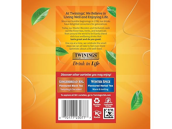 20CT Twinings Christmas Black Tea Individual Bags