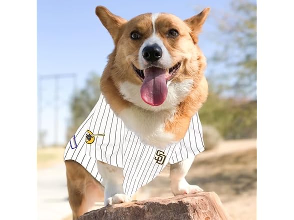 MLB San Diego Padres Dog Jersey
