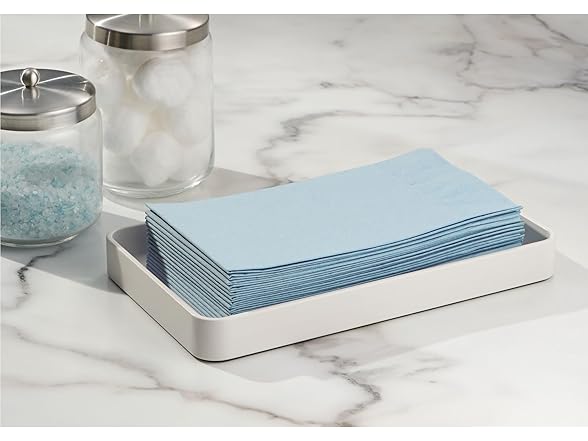 iDesign Stainless Steel Bathroom Tray