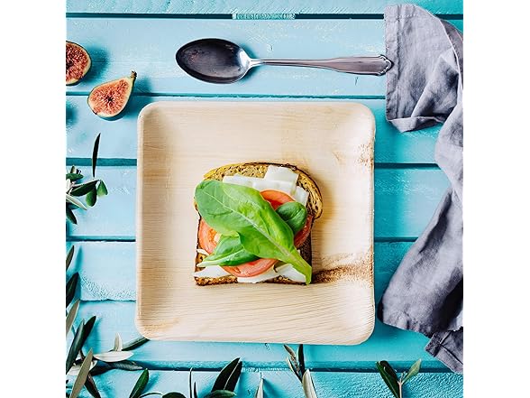 Inposable Platech Square Palm Leaf Plates