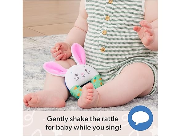 Ms. Rachel Little Bunnies Sensory Ring