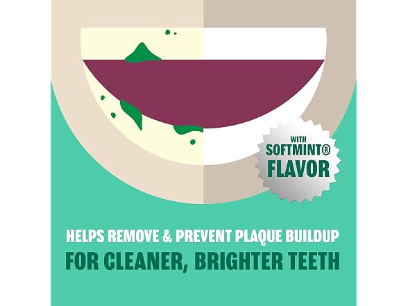 Plax Advanced PreBrushing Dental Rinse Soft Mint