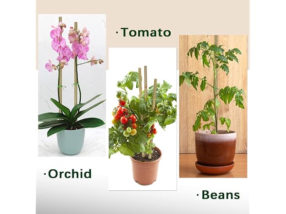 BOVITRO GAR-09 (2 Pack) 18IN Plant Stakes