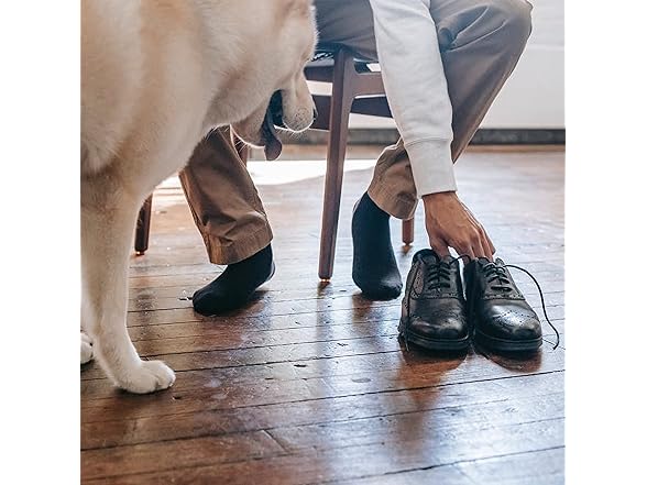 SERISIMPLE W0262 Men's Quarter Thin Ankle High Socks