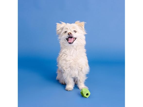 Fringe "You're Adora-Ball Rubber Dog Toy