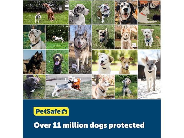 PetSafe Extra In-Ground Fence Boundary Wire,