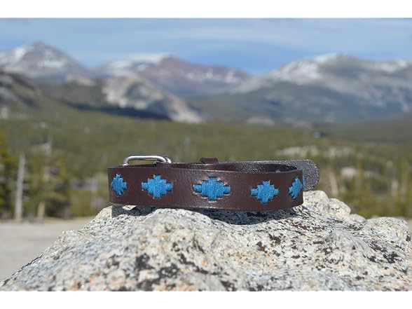 Gaucho Goods Soft Leather Dog Collar Cali