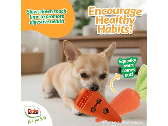 Dole for Pets Dole for Pets Dog Puzzle Toy with