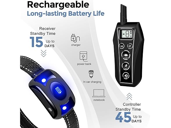 brapezie  Dog Shock Collar