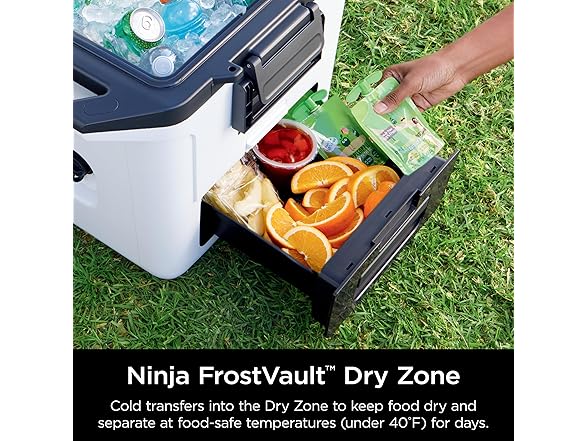 Ninja FrostVault 30qt Hard Cooler - Strawberry Rhubarb