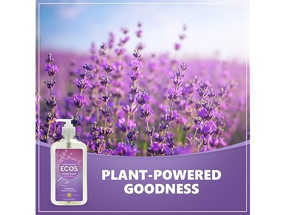 Earth Friendly Hand Soap 17oz