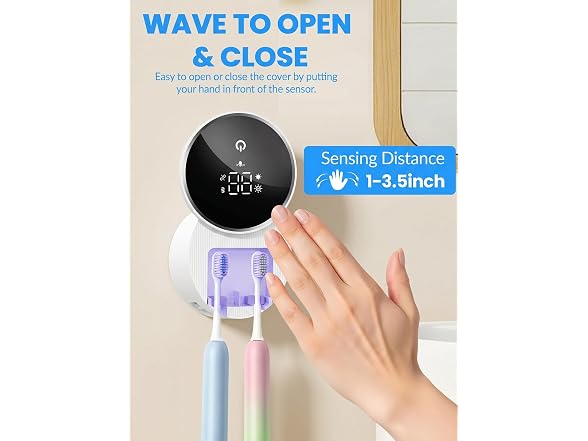 Toothbrush Sanitizer and Holder