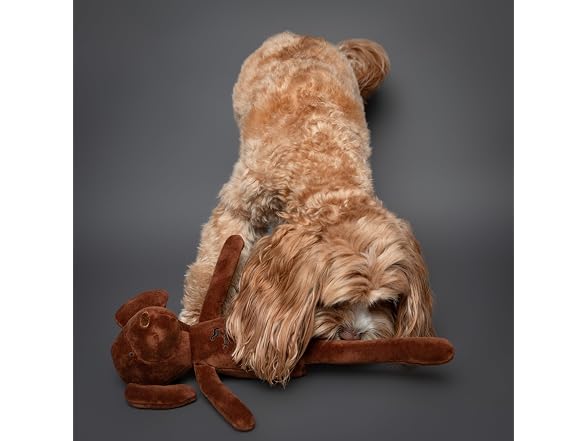 Noah & Paw Luxury dog toy basket set, Collection
