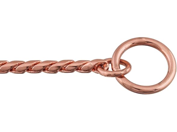 Alvalley Metal Chain Dog Show Collar Slip