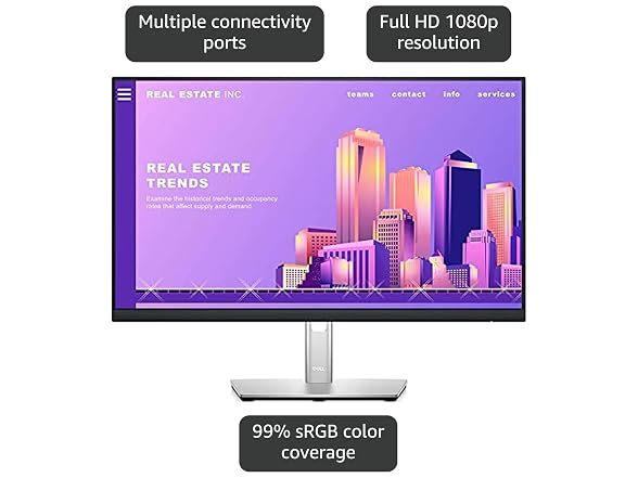 Dell 24 Monitor