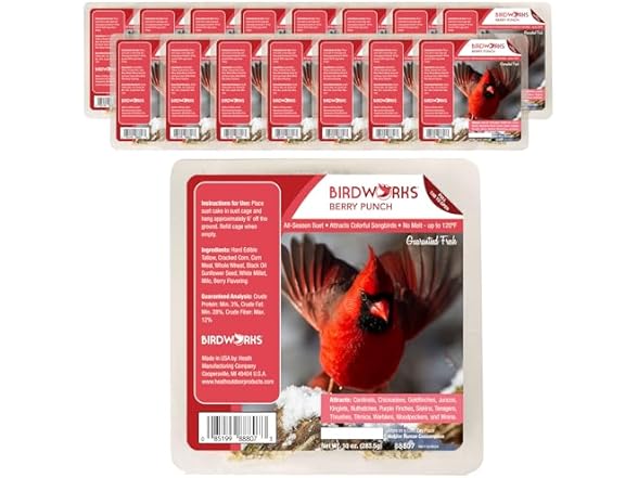 Berry All Season No Mess Suet Cake Birders Pack