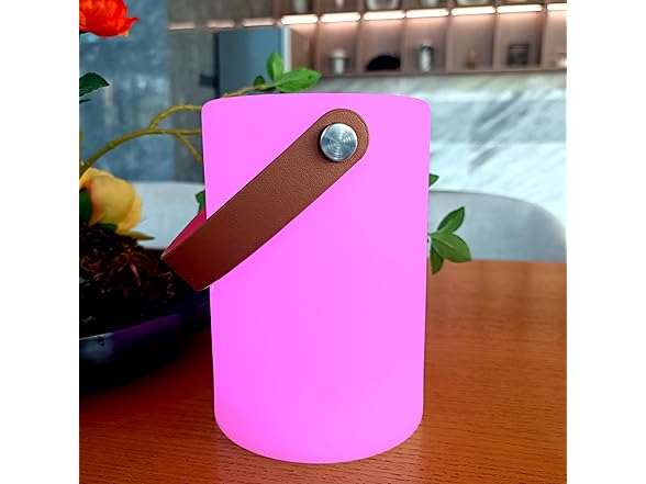 AA Battery Portable Lantern 2pk