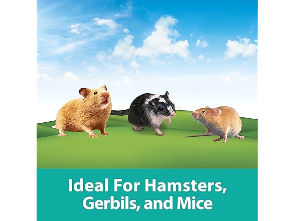 Kaytee CritterTrail Fun-nel 16-Piece Set