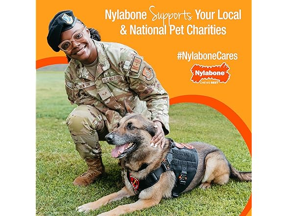 Nylabone Limited Edition 70th Birthday Textured Bone