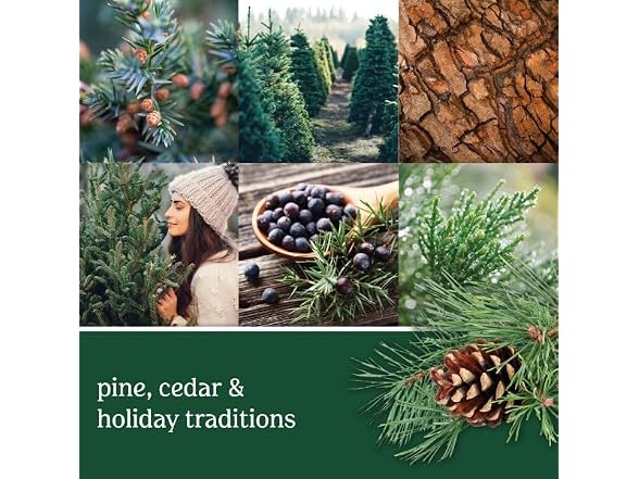 Balsam & Cedar Yankee Candle ScentPlug Refill