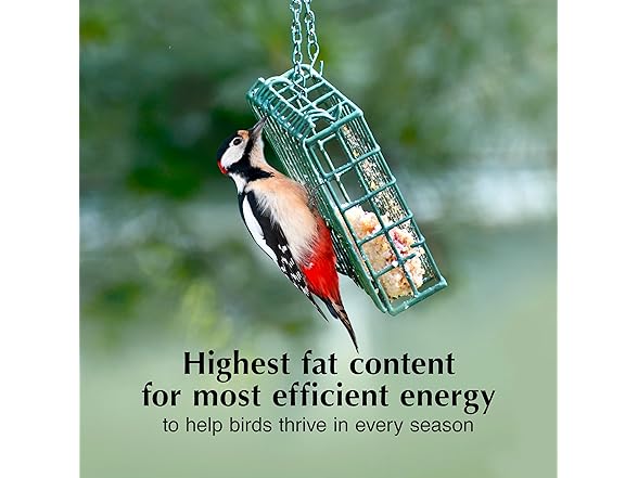 C&S Insect Suet Treat Cakes for Wild Birds