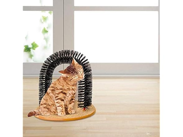 BUYTER Cat Massage Scratching Bristle Arch