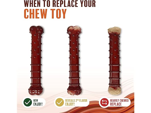 Nylabone Original & Textured Chew Toy