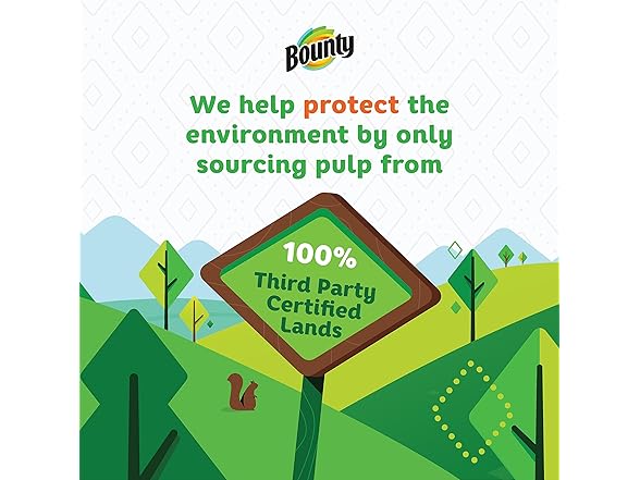 Bounty Select-A-Size Paper Towels 9437245