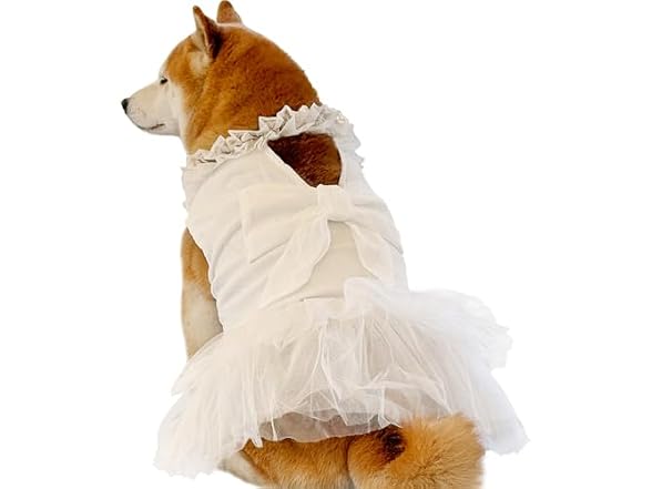 Formal Dog Dresses for Large Dogs White Dog