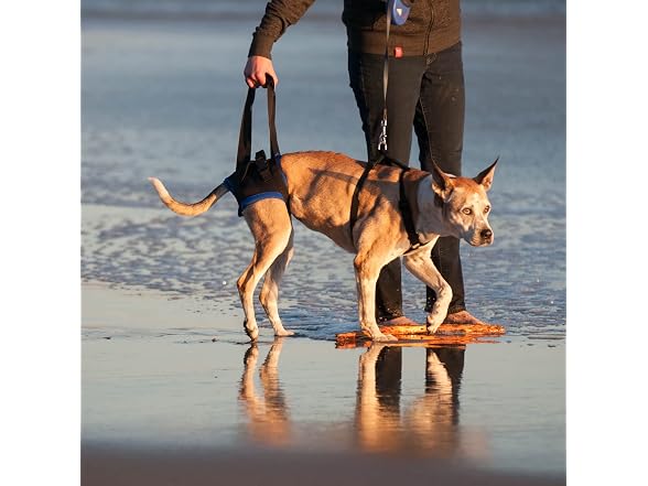 Walkabout Back End Harness, Dog and Cat Lift