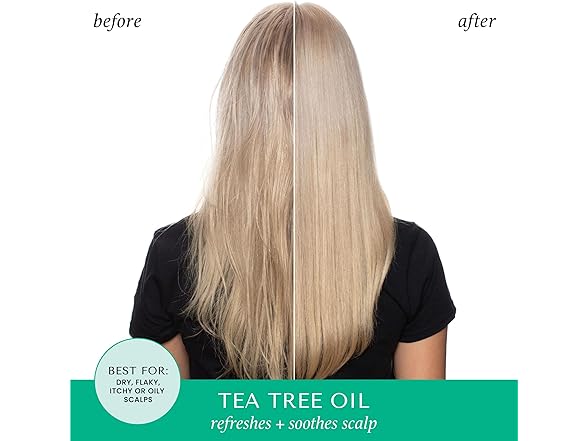 HASK Tea Tree & Rosemary Oil Scalp Care Shampoo - 12 fl oz