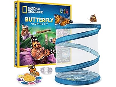 $18.99 National Geographic Butterfly Growing Kit dealfomo