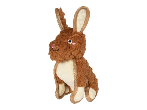 Fringe Studio Ear to Be Hoppy Durable Plush Dog Toy