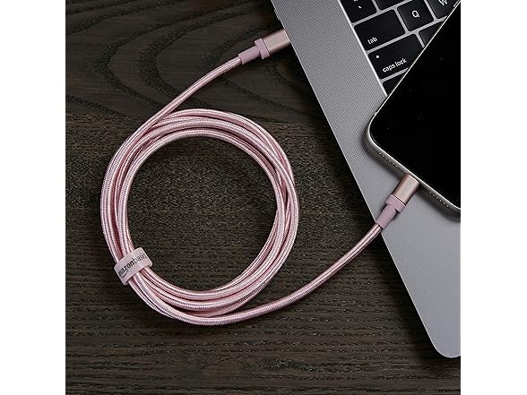 Amazon Basics USB-C to Lightning Cable